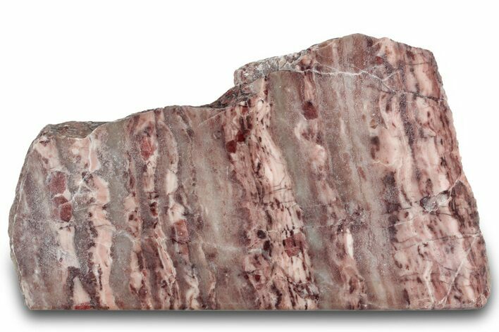 Polished Kona Dolomite Section - Michigan #301228